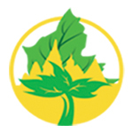 https://www.weddingguide.com.mm/digital-packages/files/24a5c428-55f7-4e89-8c95-0909637e3faa/Logo/Sein%20Lann%20Myanmar%20logo.jpg