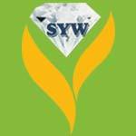 Shwe Ywet War Silversmiths/Silver wares