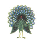 https://www.weddingguide.com.mm/digital-packages/files/d0a77235-b732-4d84-82d2-b8cdc8107e90/Logo/logo.jpg