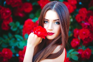 Beautiful girl hand holding red flowers Stock Photo