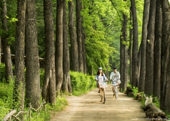 Nami island min