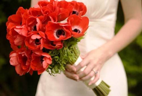 poppy wedding theme 1