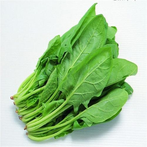 spinach leaves 500x500