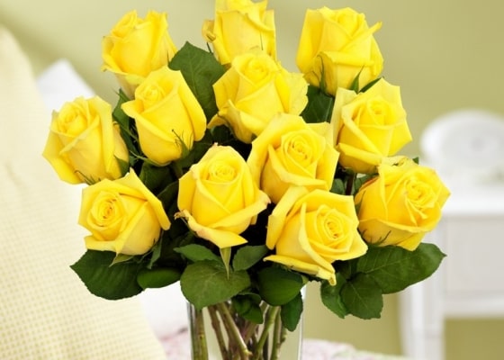 yellow roses min