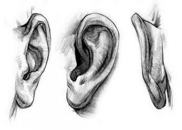နားရွက်ပုံစံတွေကနေဖော်ပြနေတဲ့ သင့်နဲ့ပတ်သတ်တဲ့ အကြောင်းအရာများ